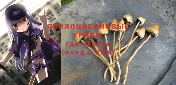 гашик Абаза