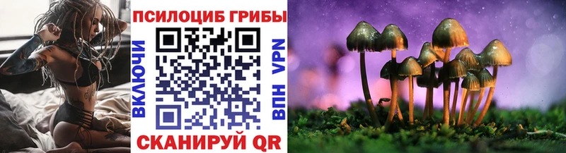 Псилоцибиновые грибы Psilocybe  мориарти Telegram  Кочубеевское 